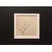 SULLAVAN Margaret Genuine Authentic Vintage Signed 16 x 12 Display 